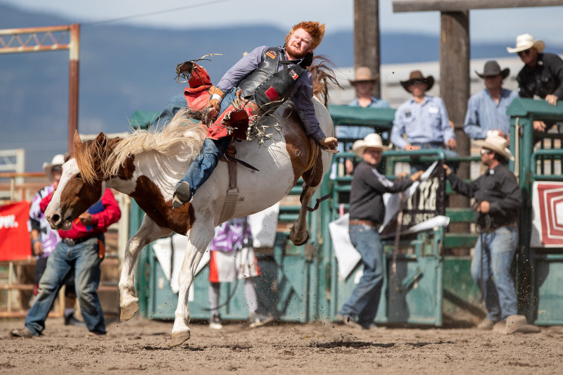 White horse trouble - Nicola Valley Rodeo